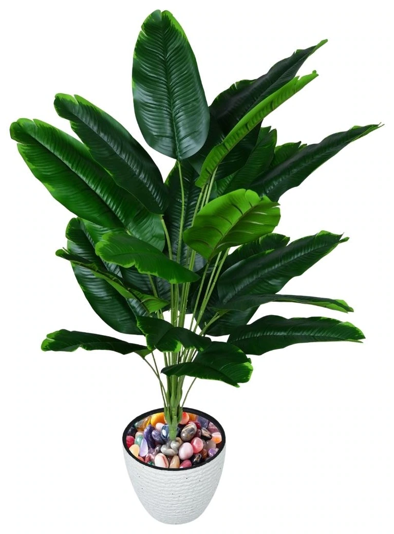Banana Plant 24 Leaves